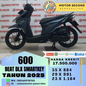 BEAT DELUXE SMARTKEY THN 2025